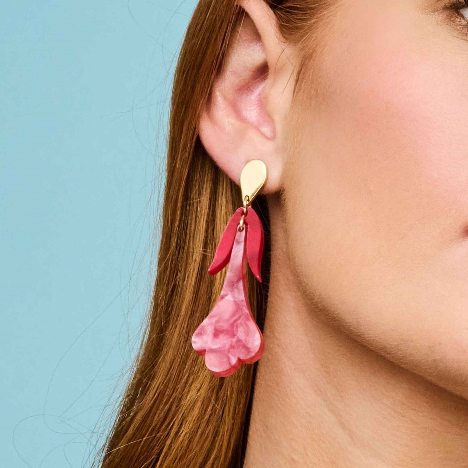 Crocuses - Pink Pearl