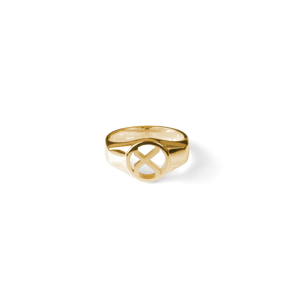 Alphabet Signet Ring - Gold Vermeil